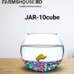 ১0 কিউব ট্রান্সপারেন্ট টেবিল ফিশ জার