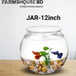 ১২ইঞ্চি মিনি ফিশ জার