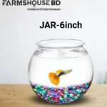 ৬ ইঞ্চি মিনি ফিশ জার