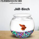 ৮ ইঞ্চি মিনি ফিশ জার