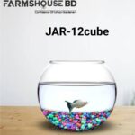 ১২ কিউব ট্রান্সপারেন্ট টেবিল ফিশ জার