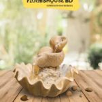 Indoor(snail) water fountain