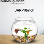 ১০ ইঞ্চি মিনি ফিশ জার