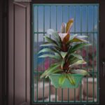 অগ্নিশর প্লান্ট