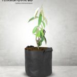 ডুরিয়ান ফল