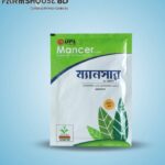 ম্যানসার