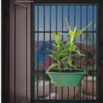 লাকী বেম্বু