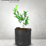 লাল করমচা