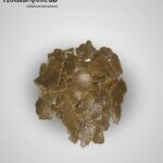 সরিষা খৈল