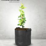 হাড়িবেল