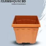 খানদানি স্কয়ার প্ল্যান্টার পট