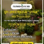 ছাদ বাগান প্যাকেজ