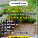 বারান্দা বাগান উপহার প্যাকেজ