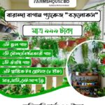 বারান্দা বাগান প্যাকেজ (বড়লোকস)