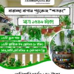 বারান্দা বাগান প্যাকেজ (শতরং)