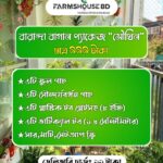 বারান্দা বাগান প্যাকেজ (সৌখিন )