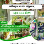 ভার্টিক্যাল বাগান প্যাকেজ