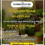 মিনি ছাদ বাগান প্যাকেজ