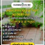 বারান্দা বাগান প্যাকেজ(শরৎ)