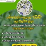 সৌন্দর্যবর্ধনী বাগান প্যাকেজ