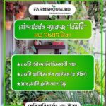 সৌন্দর্যবর্ধনী বাগান প্যাকেজ (বিউটি)