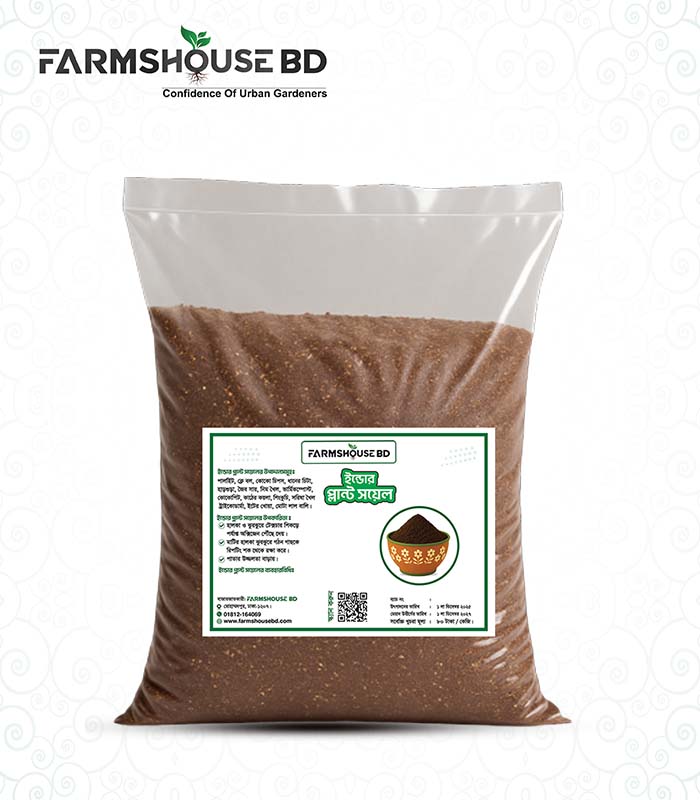 Indoor Plant-01 Indoor Plant Soil - Image 1