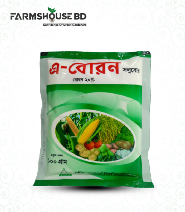 বোরণ সার